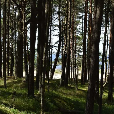 Kalngales Kempingi